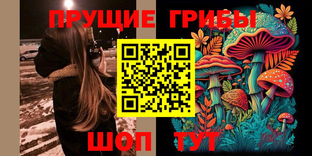 Псилоцибиновые грибы мицелий  Вход с VPN  Галлюциногенные грибы Cubensis  Люберцы 