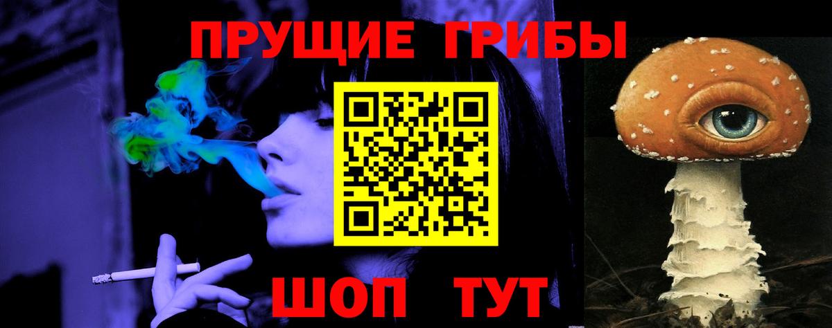 Галлюциногенные грибы Psilocybe Люберцы